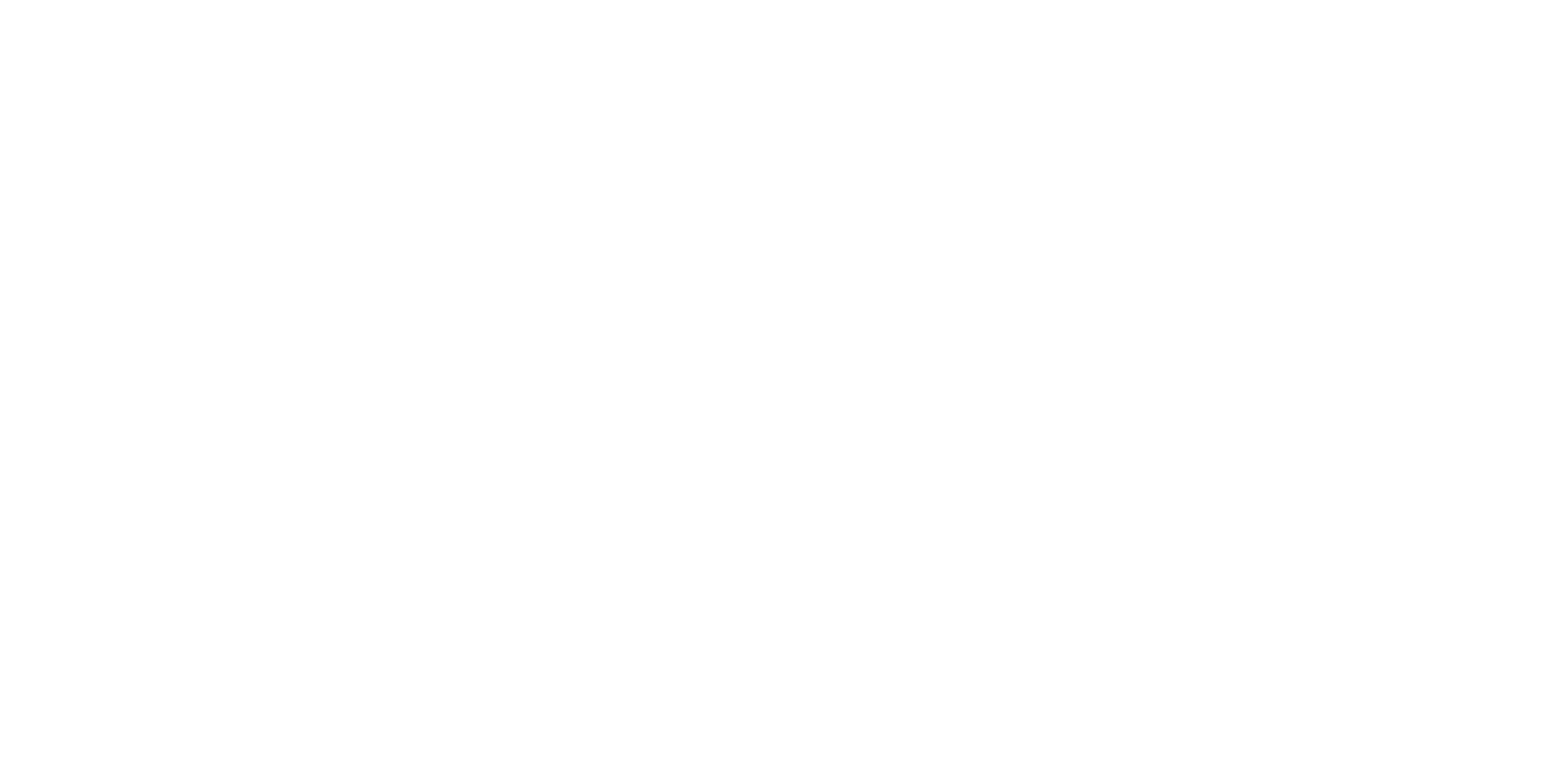 efferus_logo